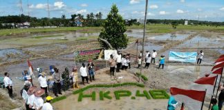 Peringati HKP ke 48, Bupati Balangan bersama petani lakukan penanaman perdana padi