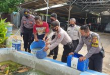 Cegah kerawanan pangan, manfaatkan lahan kosong ditengah pandemi Corona