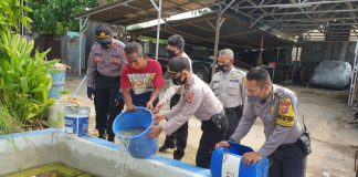 Cegah kerawanan pangan, manfaatkan lahan kosong ditengah pandemi Corona