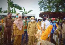 Bupati Batola Noormiliyani bahagia petani Sido Makmur sukses panen jagung