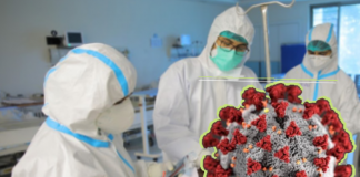 Hampir seluruh SKPD di Kabupaten Banjar terserang wabah virus Corona