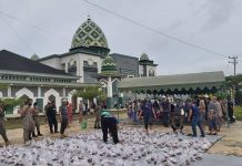 Panitia Ibadah kurban Masjid Al Albar Balangan sembelih 3 ekor hewan kurban