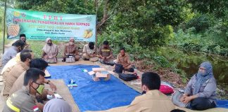 Petani Nanas Desa Jelapat Ikuti pelatihan pengendalian hama terpadu