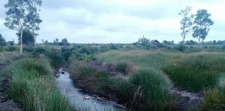 Petani Desa Bangkit Baru keluhkan bangunan tanggul serasi yang tidak maksimal berfungsi
