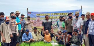 Sebelum memasuki masa tanam, Polsek Anjir Pasar bantu petani membasmi hama tikus
