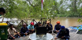Dunia sambut gembira kelahiran 3 ekor Bekantan di Stasiun Riset Bekantan Pulau Curiak