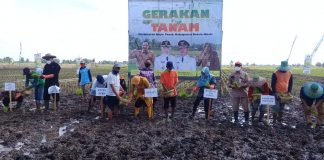 Tingkatkan produk hasil pertanian Pemkab Barito Kuala siap bantu petani