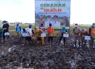 Tingkatkan produk hasil pertanian Pemkab Barito Kuala siap bantu petani