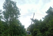 Tiang listrik miring, dua desa di Kecamatan Tamban sering mati lampu