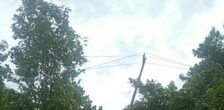 Tiang listrik miring, dua desa di Kecamatan Tamban sering mati lampu