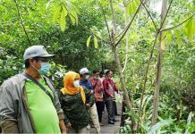 Dishut Provinsi Kalimantan Tengah studi banding ke Desa Wisata Muara Kanoco