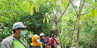 Dishut Provinsi Kalimantan Tengah studi banding ke Desa Wisata Muara Kanoco