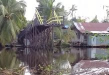 Jembatan penghubung antar desa di Tamban Raya Baru, terbengkalai?