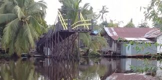 Jembatan penghubung antar desa di Tamban Raya Baru, terbengkalai?