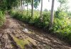 Ruas jalan penghubung antar desa di Tanjung Harapan rusak parah