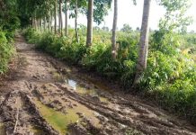 Ruas jalan penghubung antar desa di Tanjung Harapan rusak parah