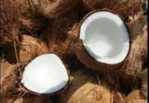 Pemasaran hasil perkebunan di Tabunganen belum.didukung infrastruktur yang memadai