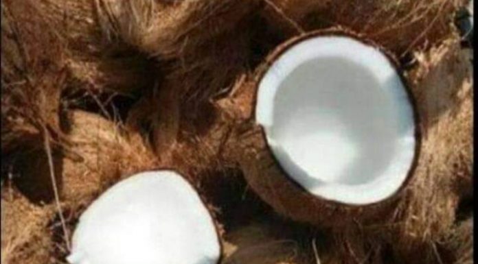 Pemasaran hasil perkebunan di Tabunganen belum.didukung infrastruktur yang memadai