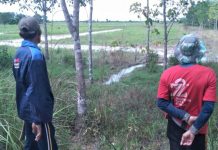 Air limbah batu bara meluber ke ribuan hektare sawah di Desa Tujuh