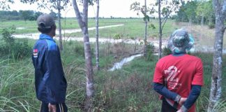 Air limbah batu bara meluber ke ribuan hektare sawah di Desa Tujuh