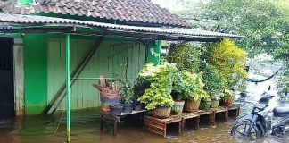 Banjir Batola : Status tanggap darurat diperpanjang hingga 14 hari kedepan