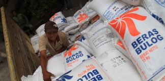 Distribusi masih belum jelas, serapan beras bulog menurun