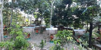 Sentra produksi Madu Kalulut Fauzi, rambah pasar lokal dan antar provinsi di Kalimantan