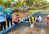 Kementerian Perikanan berikan bantuan bibit ikan ke kelompok usaha di Batola