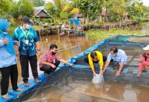 Kementerian Perikanan berikan bantuan bibit ikan ke kelompok usaha di Batola