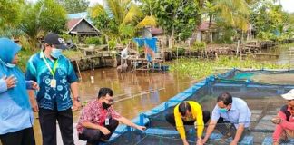 Kementerian Perikanan berikan bantuan bibit ikan ke kelompok usaha di Batola