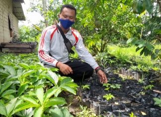 Bertahan ditengah pandemi, petani di Desa Sumber Rahayu menanam porang dan sayuran