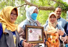 Bayi Bekantan di SRB Pulau Curiak diberi nama Amel Junior