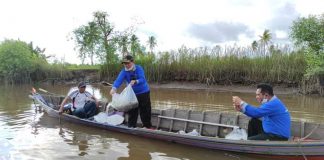 Ikut lestarikan sumber daya hayati, walikota Ibnu Sina tabur ribuan bibit Patin