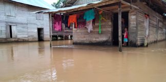 Curah hujan tinggi, 2 desa di Kabupaten Banjar digenangi air