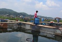 Pembudidaya ikan diminta waspadai perubahan cuaca