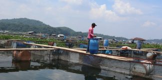 Pembudidaya ikan diminta waspadai perubahan cuaca