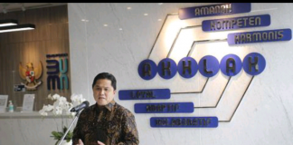 Imbas dari krisis batu bara, Erick Thohir pecat Direktur PLN