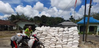 Atasi problem tingginya keasaman tanah, Pemdes Kolam Kanan bagikan kapur gratis