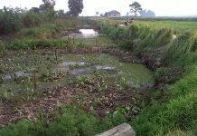 Ditumbuhi semak belukar, Sungai Tembingkar riwayatmu kini !