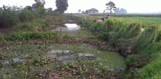 Ditumbuhi semak belukar, Sungai Tembingkar riwayatmu kini !