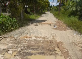 3 tahun diusulkan, perbaikan jalan kabupaten di Desa Pantang Raya belum juga direalisasikan