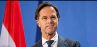 PM Belanda minta maaf ke Indonesia soal kekejaman masa penjajahan