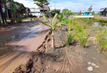 Karena ruas jalan Handil Tura rusak parah, armada angkutan tak maksimal muat hasil pertanian