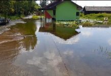 Akibat masih direndam air, ratusan hektar sawah di Mandastan terancam gagal tanam?
