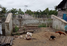 Warga minta dibangunkan jembatan alternatif, pengganti jembatan ulin Handil Baru