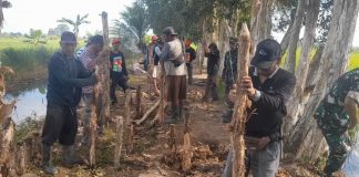 Bulan Bakti Gotong Royong, warga Anjir Muara bersihkan Jalan Usaha Tani Handil Mesjid