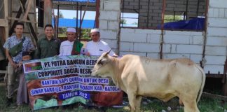 PT PBB serahkan hewan kurban untuk Desa Sinar Baru Rantau Badauh