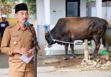 4 ekor hewan kurban disembelih di Pemkab Banjar, dagingnya dibagikan untuk tenaga honorer