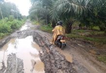 Ruas jalan penghubung sejumlah desa di Wanaraya rusak parah