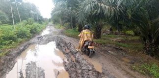 Ruas jalan penghubung sejumlah desa di Wanaraya rusak parah